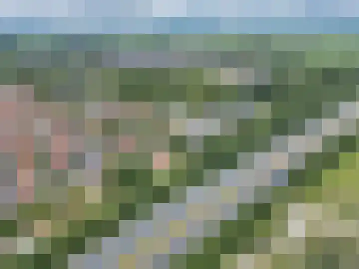 Secretaris Haitsmalaan 65 Bolsward thumbnail 47
