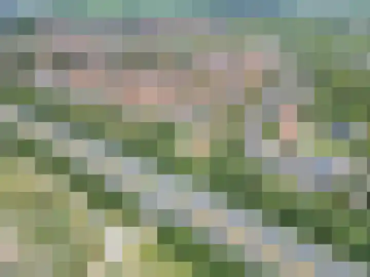 Secretaris Haitsmalaan 65 Bolsward thumbnail 48