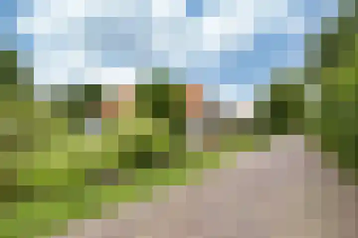 Secretaris Haitsmalaan 65 Bolsward thumbnail 6