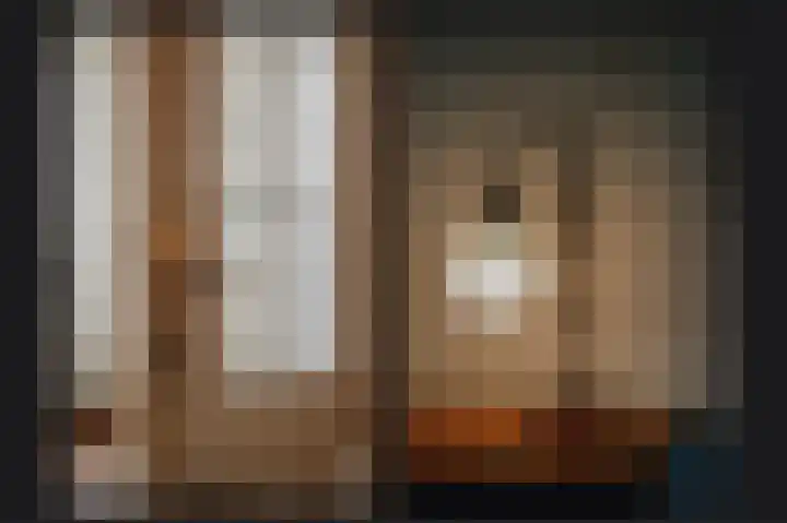 Secretaris Janssenstraat 6 Rossum thumbnail 10