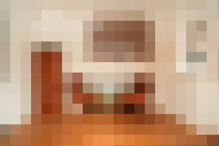 Secretaris Janssenstraat 6 Rossum thumbnail 11
