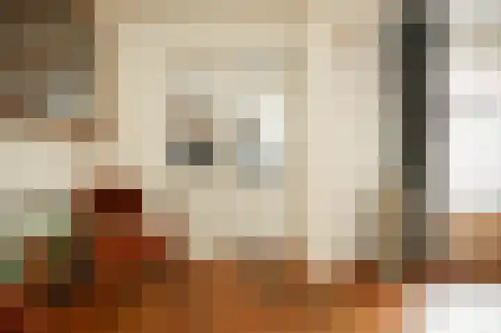 Secretaris Janssenstraat 6 Rossum thumbnail 12