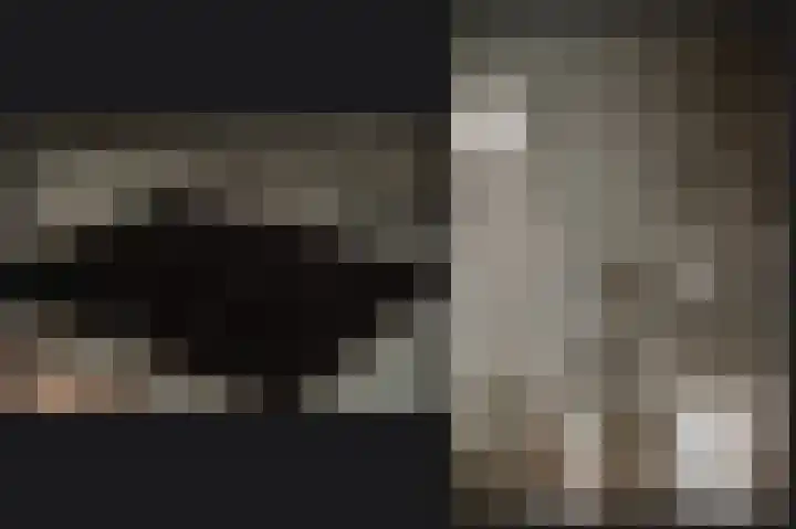 Secretaris Janssenstraat 6 Rossum thumbnail 15