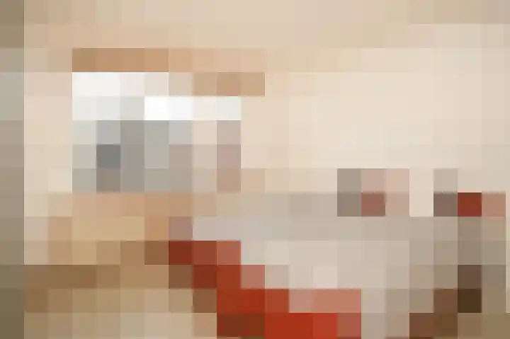 Secretaris Janssenstraat 6 Rossum thumbnail 18