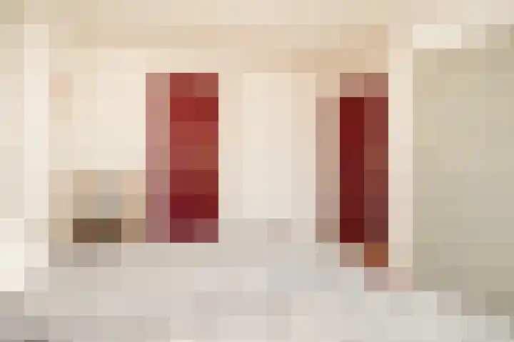 Secretaris Janssenstraat 6 Rossum thumbnail 19