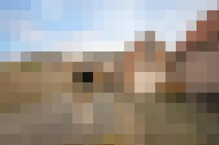 Secretaris Janssenstraat 6 Rossum thumbnail 28