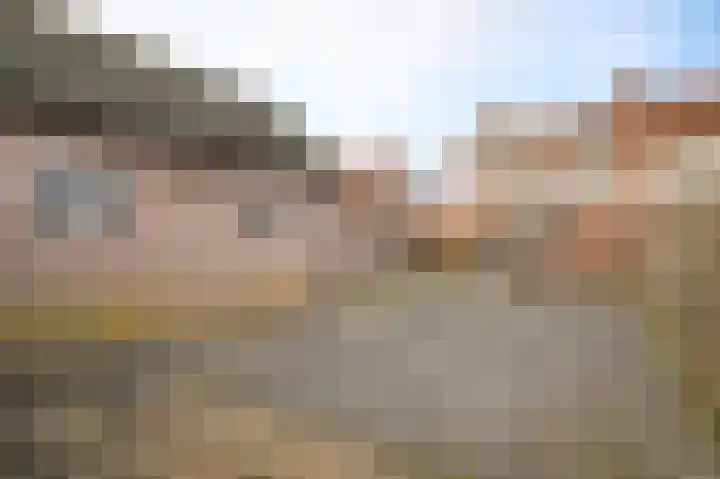 Secretaris Janssenstraat 6 Rossum thumbnail 30