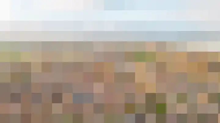 Secretaris Janssenstraat 6 Rossum thumbnail 39