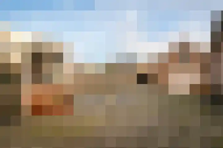 Secretaris Janssenstraat 6 Rossum thumbnail 4