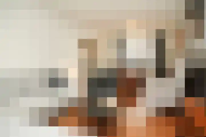 Secretaris Janssenstraat 6 Rossum thumbnail 6