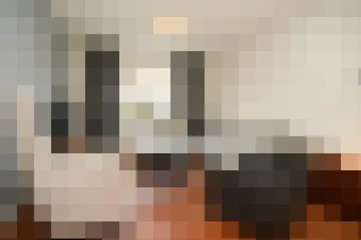 Secretaris Janssenstraat 6 Rossum thumbnail 7