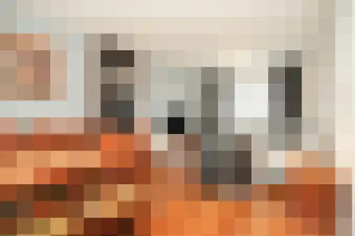 Secretaris Janssenstraat 6 Rossum thumbnail 9