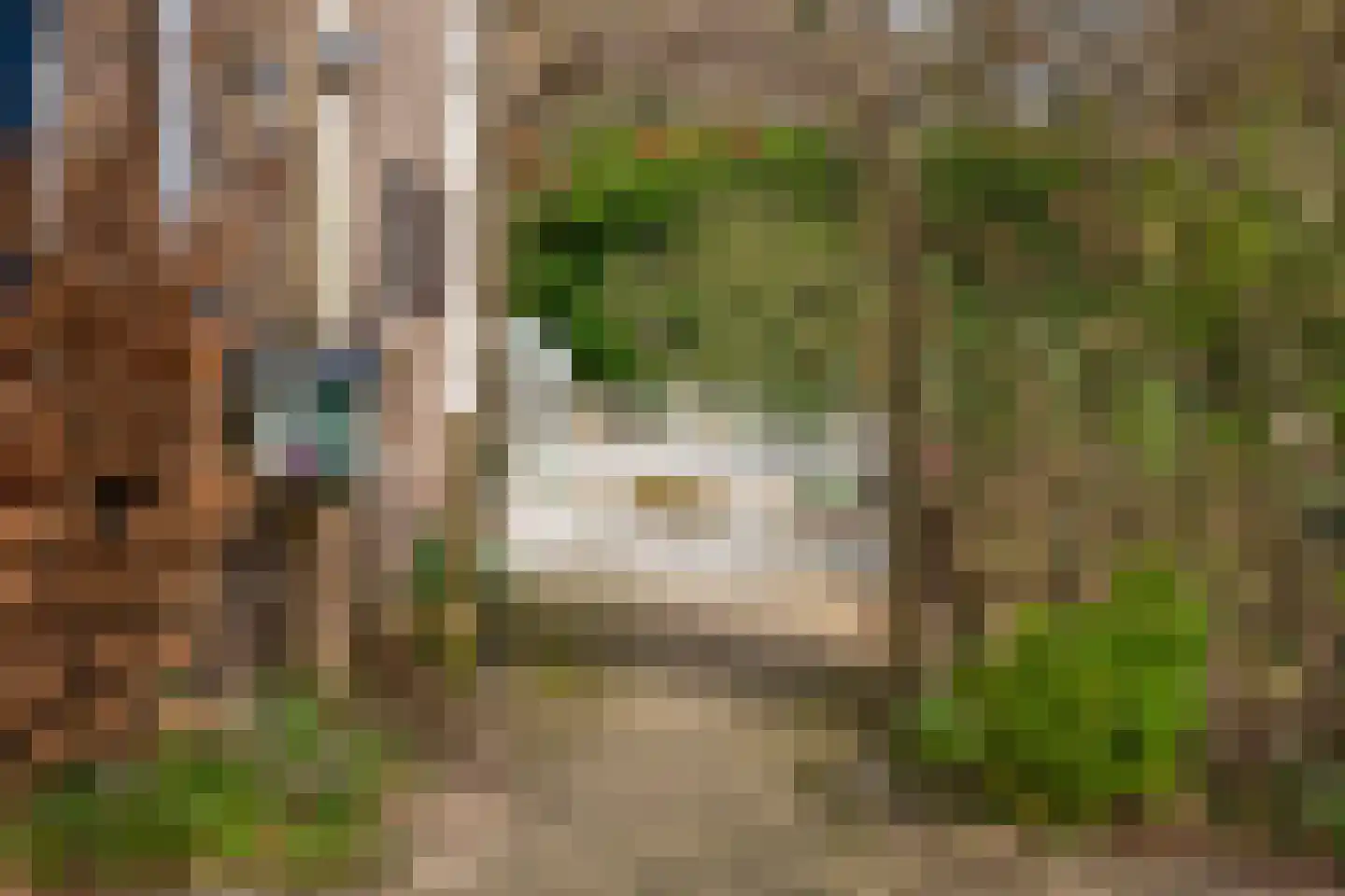 Secretaris Kuitstraat 22 Oosterbeek thumbnail 5