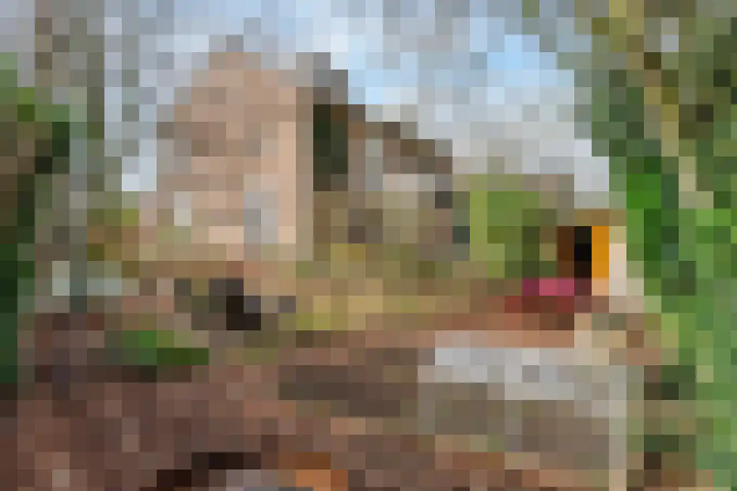 Secretaris Kuitstraat 22 Oosterbeek thumbnail 55