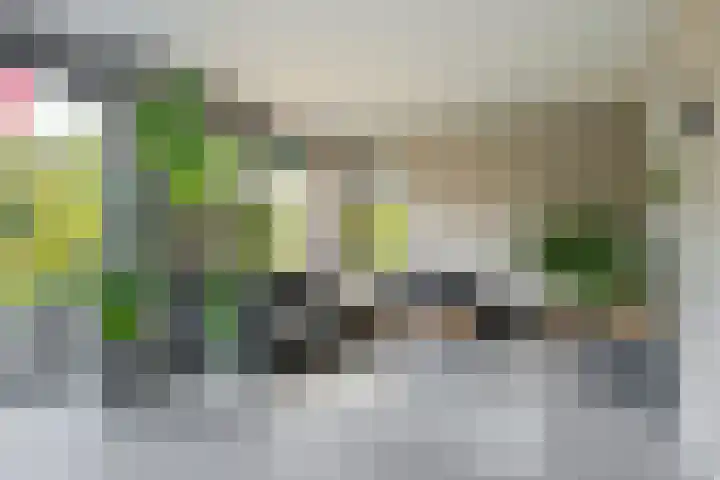 Secretaris Kuitstraat 24 Oosterbeek thumbnail 10