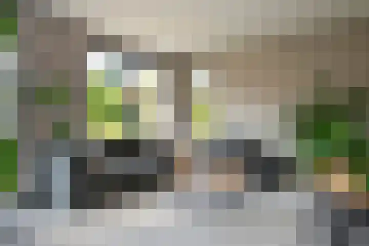 Secretaris Kuitstraat 24 Oosterbeek thumbnail 11