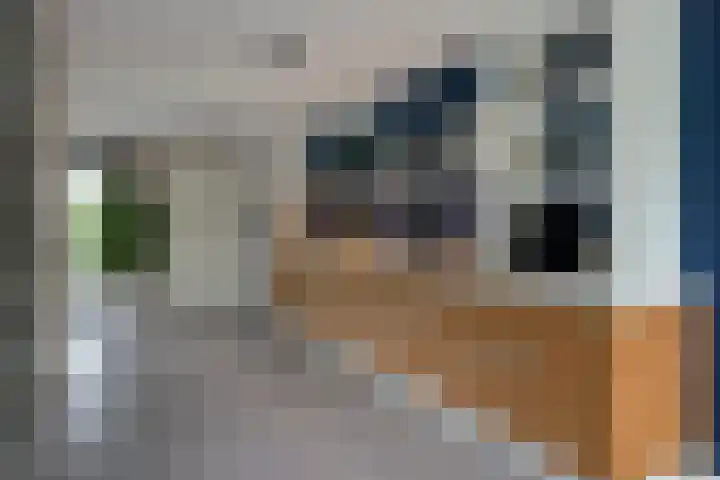 Secretaris Kuitstraat 24 Oosterbeek thumbnail 18