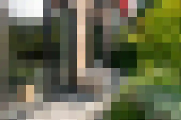 Secretaris Kuitstraat 24 Oosterbeek thumbnail 4