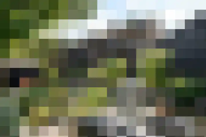 Secretaris Kuitstraat 24 Oosterbeek thumbnail 58