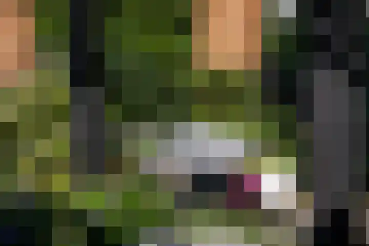 Secretaris Kuitstraat 24 Oosterbeek thumbnail 64