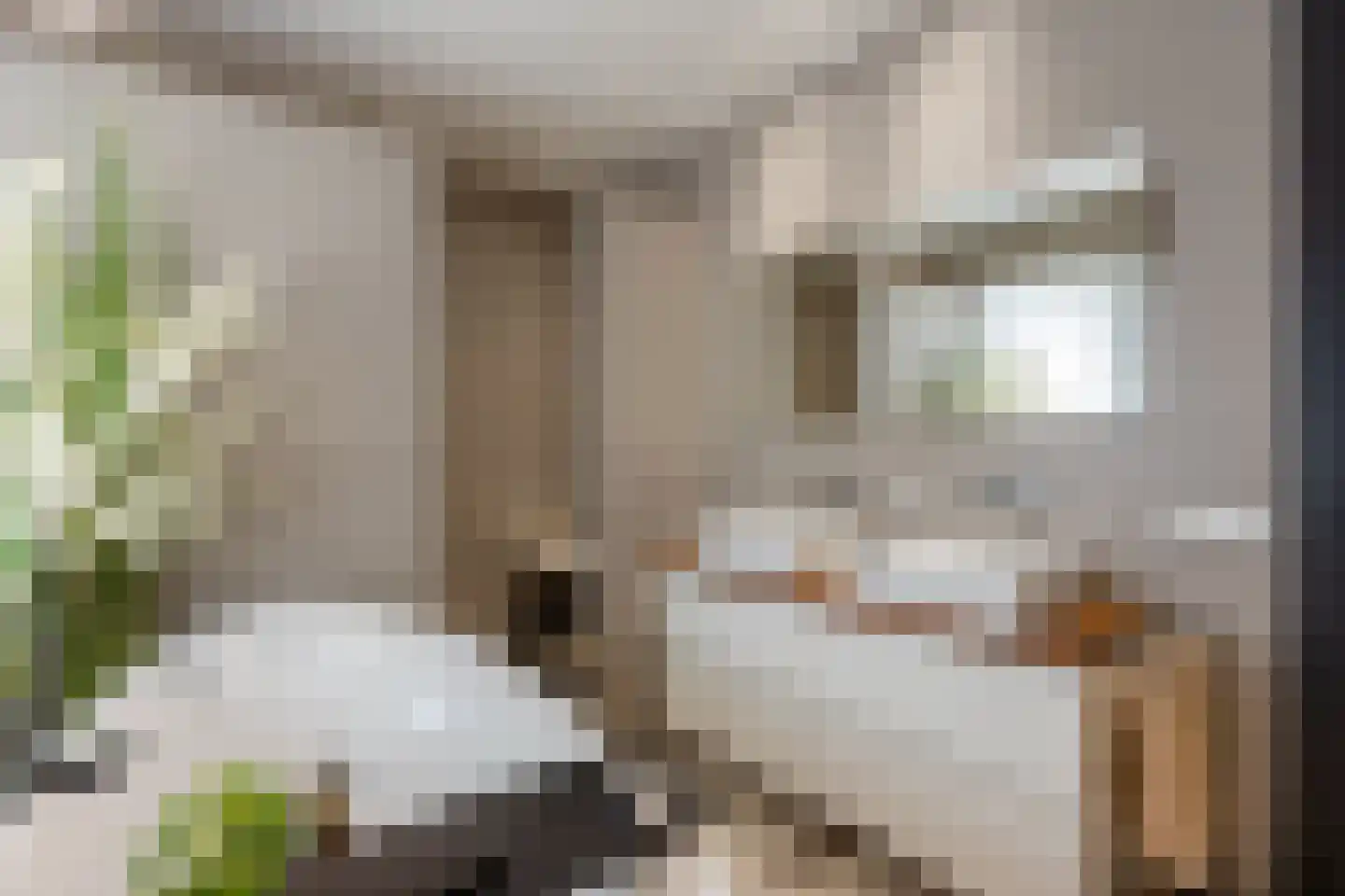 Secretaris L. Jansenstraat 40 Best thumbnail 6