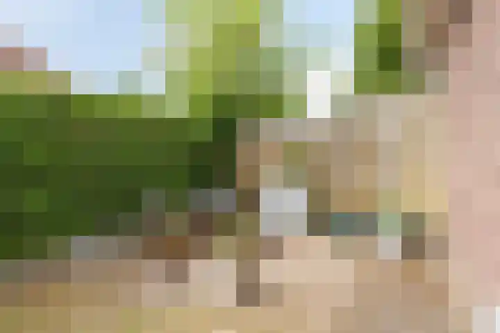 Secretaris Luijbenstraat 6 Groesbeek thumbnail 38