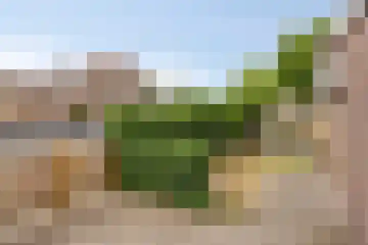 Secretaris Luijbenstraat 6 Groesbeek thumbnail 40