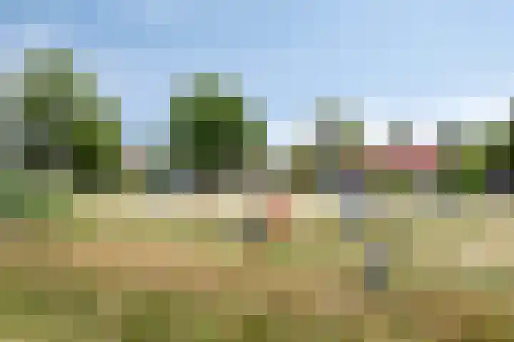 Secretaris Luijbenstraat 6 Groesbeek thumbnail 43