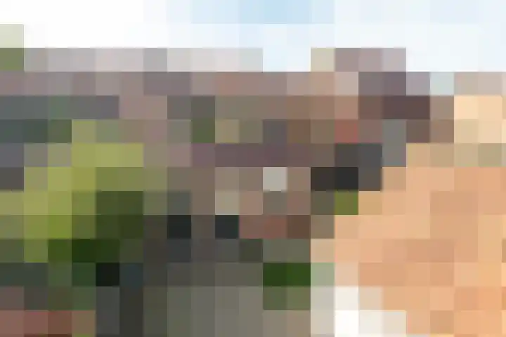 Secretaris Mulderweg 26 Nunspeet thumbnail 38
