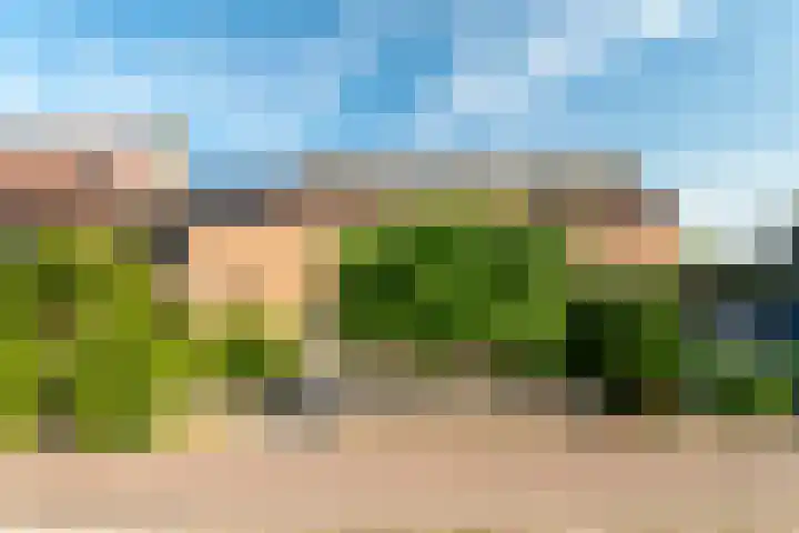 Secretaris Mulderweg 26 Nunspeet thumbnail 5