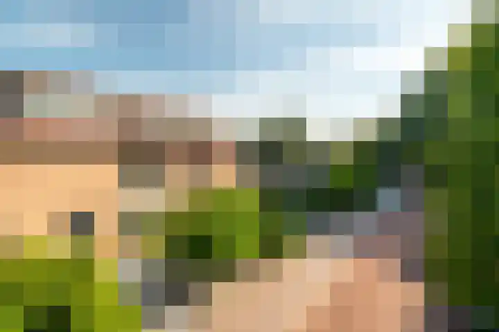 Secretaris Mulderweg 26 Nunspeet thumbnail 7
