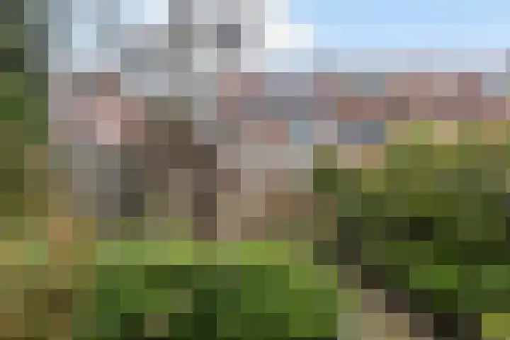 Secretaris Mulderweg 31 Nunspeet thumbnail 29