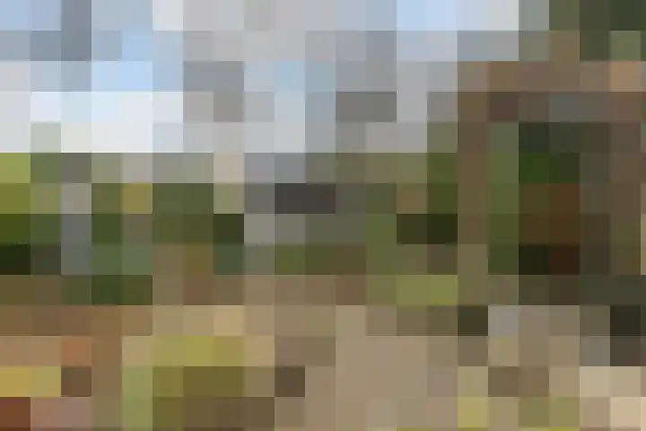 Secretaris Mulderweg 31 Nunspeet thumbnail 31