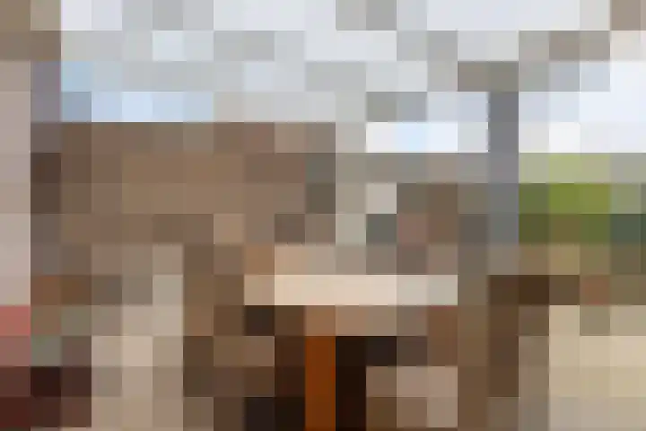 Secretaris Mulderweg 31 Nunspeet thumbnail 32