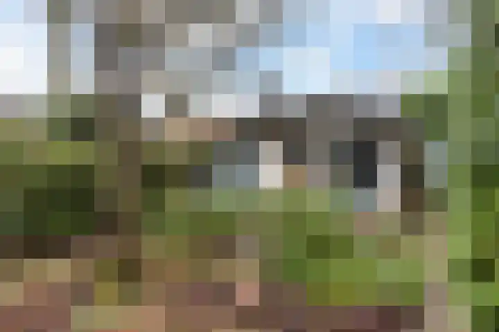 Secretaris Mulderweg 31 Nunspeet thumbnail 36