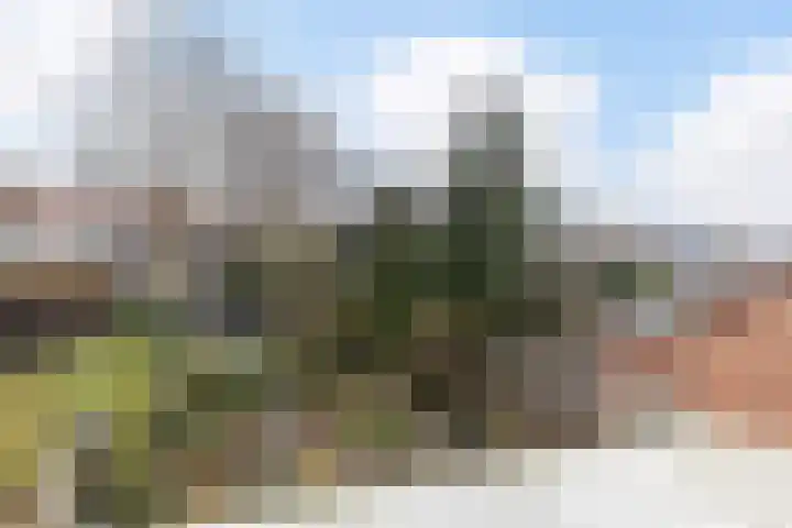 Secretaris Mulderweg 31 Nunspeet thumbnail 38