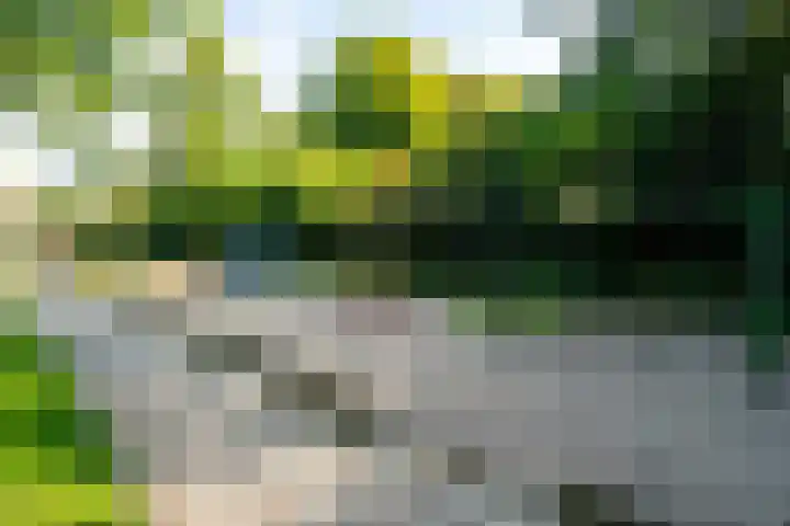 Secretaris Mulderweg 36 Nunspeet thumbnail 32