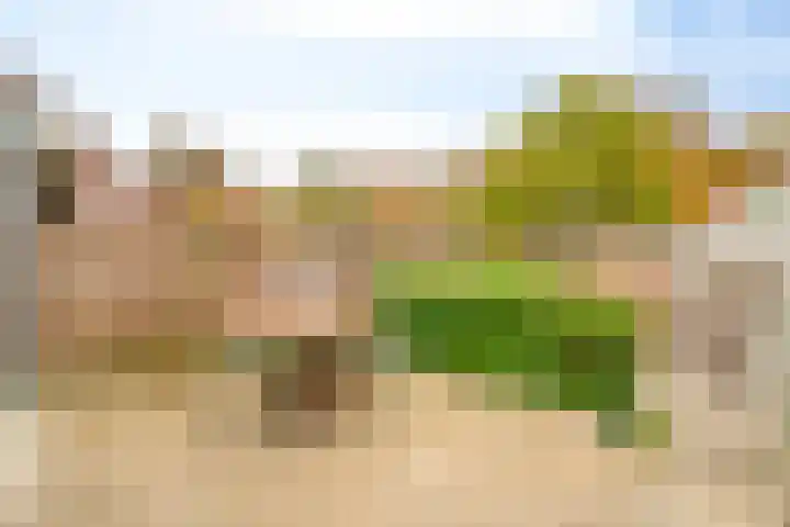 Secretaris Mulderweg 36 Nunspeet thumbnail 4