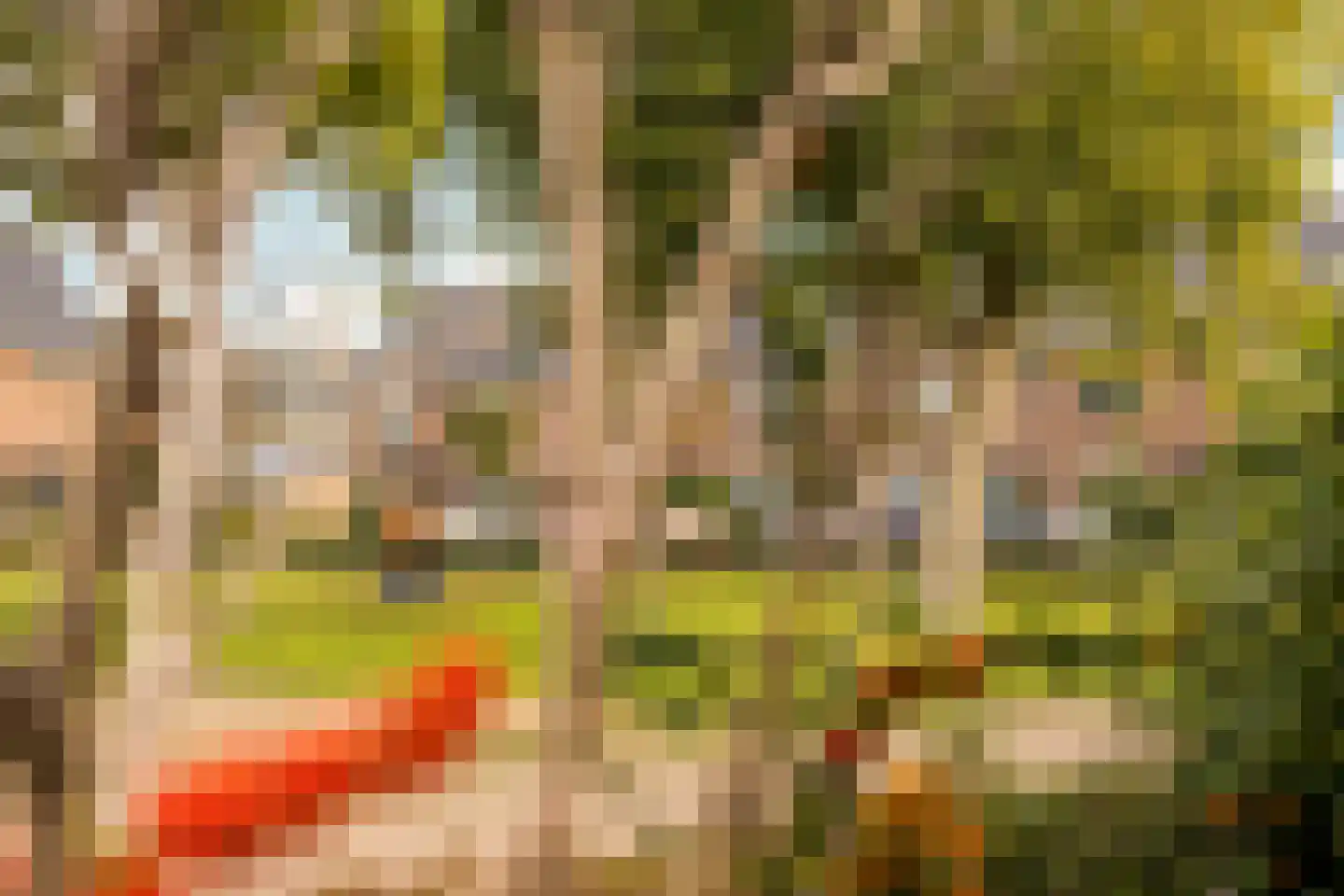 Secretaris Munniklaan 15 Wilnis thumbnail 34