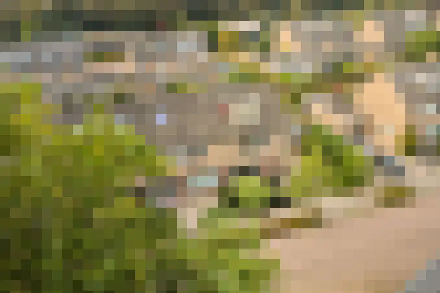 Secretaris Munniklaan 15 Wilnis thumbnail 38