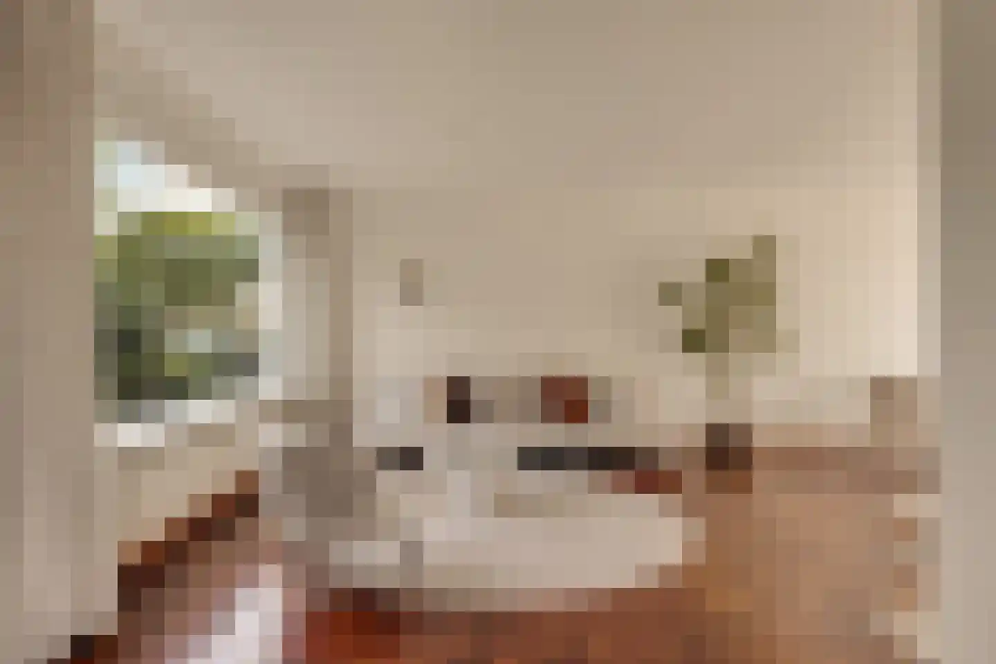 Secretaris Munniklaan 15 Wilnis thumbnail 8