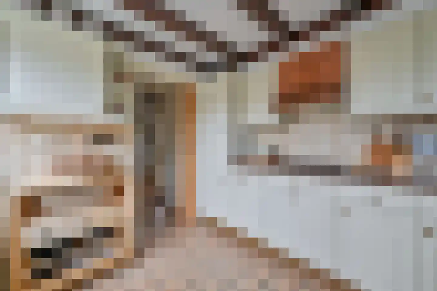 Secretaris Munniklaan 33 Wilnis thumbnail 13