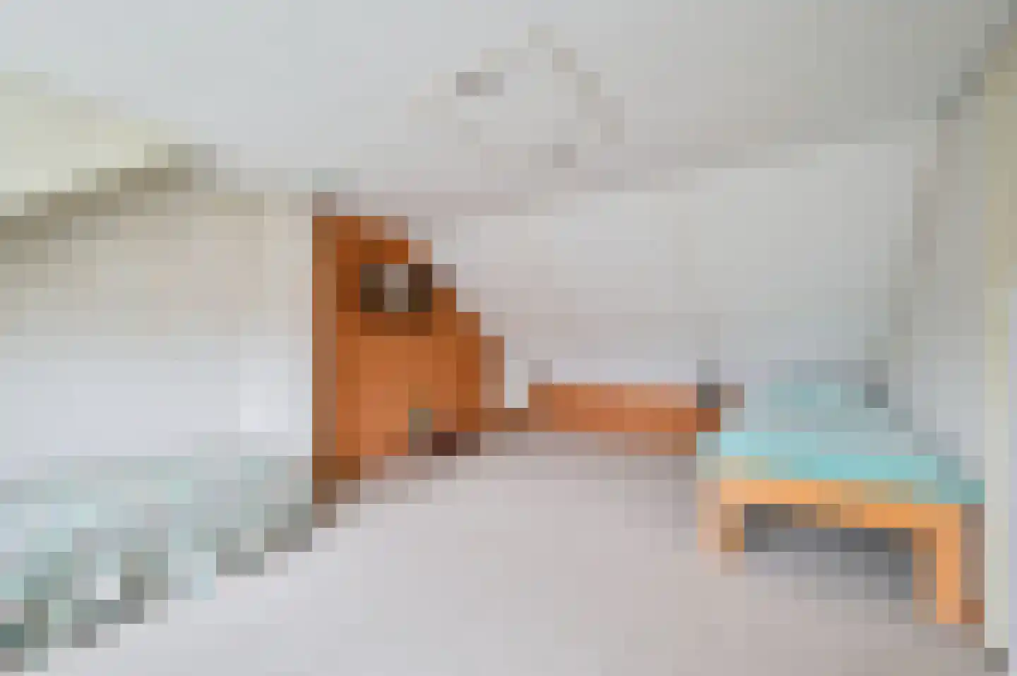 Secretaris Munniklaan 33 Wilnis thumbnail 26