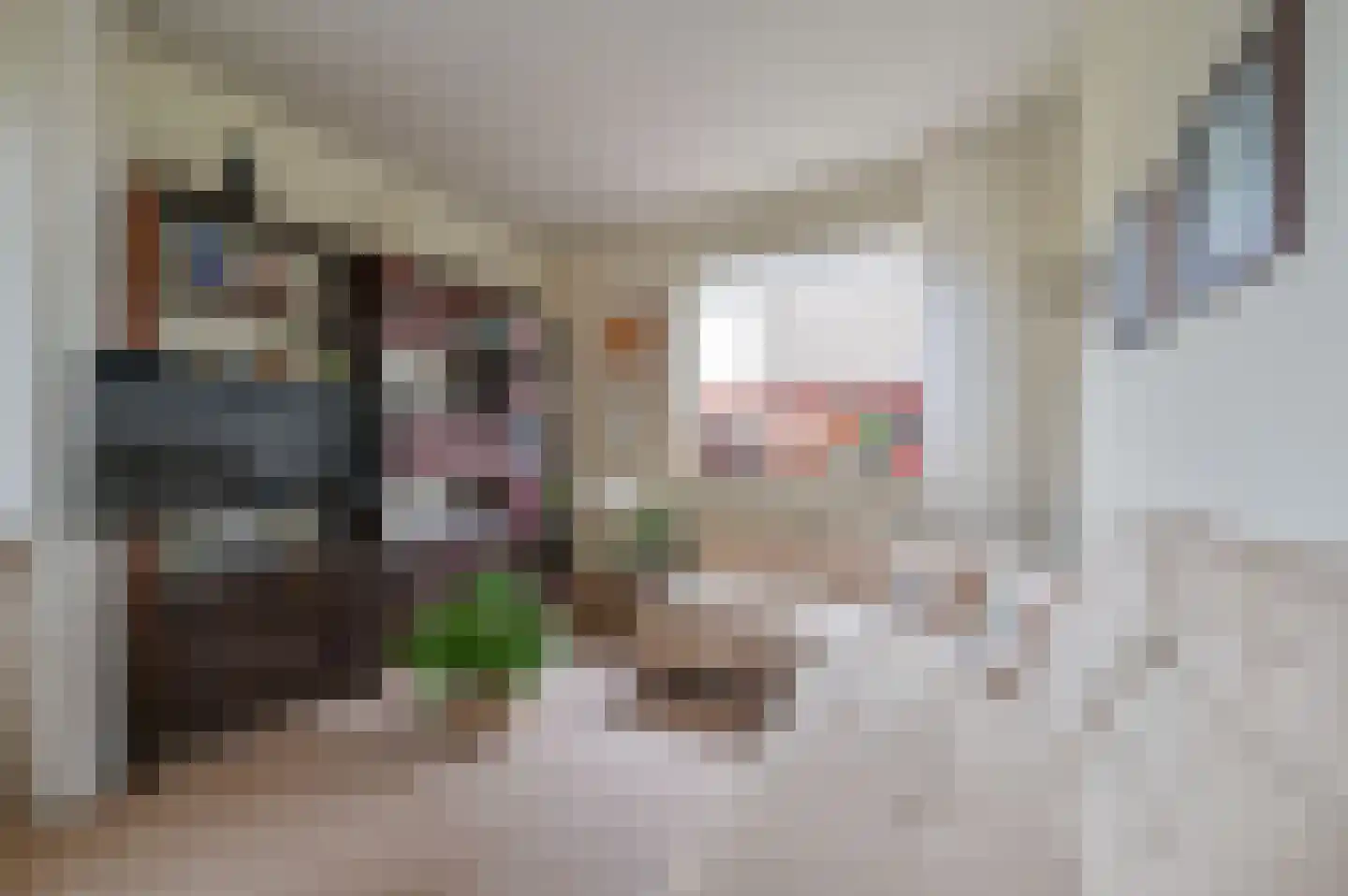 Secretaris Munniklaan 33 Wilnis thumbnail 6