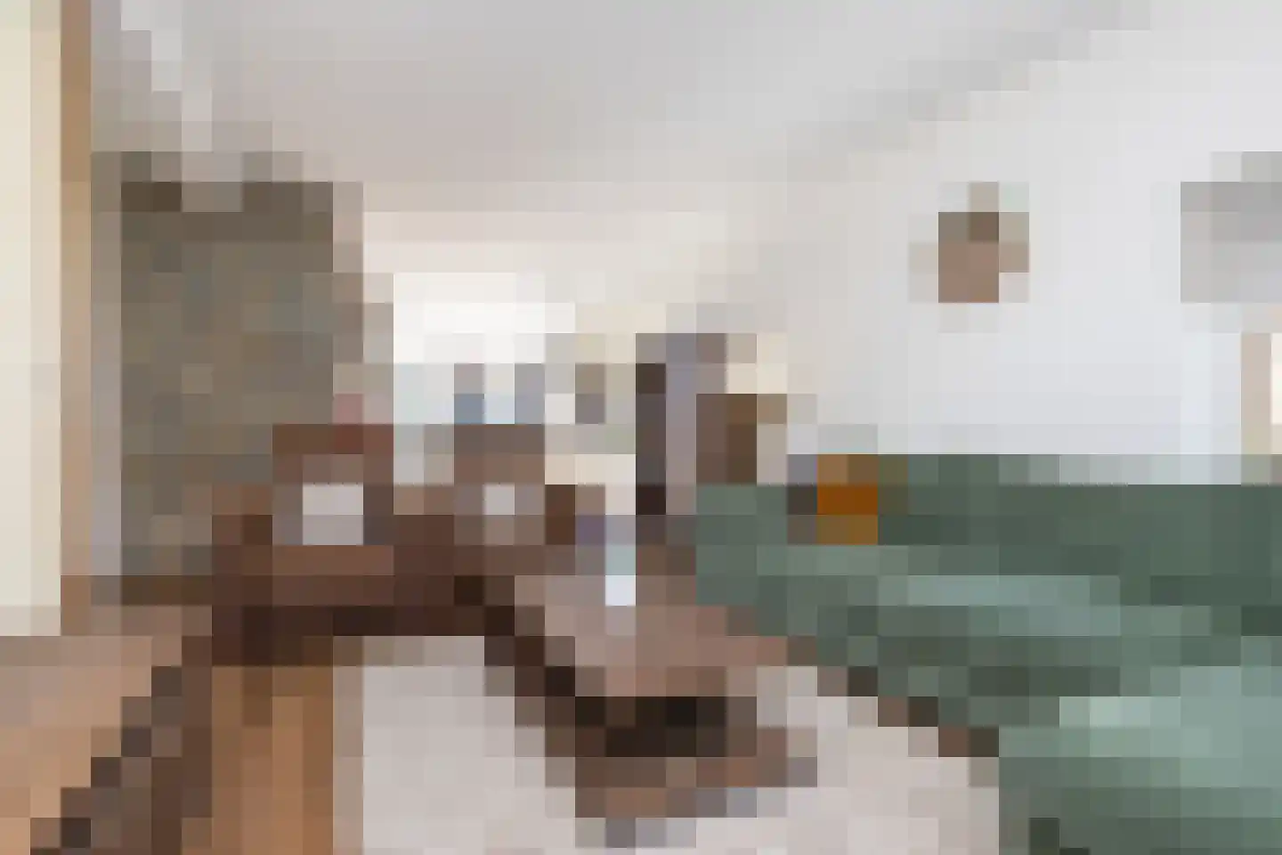 Secretaris Rooijlaan 9 Dirksland thumbnail 10