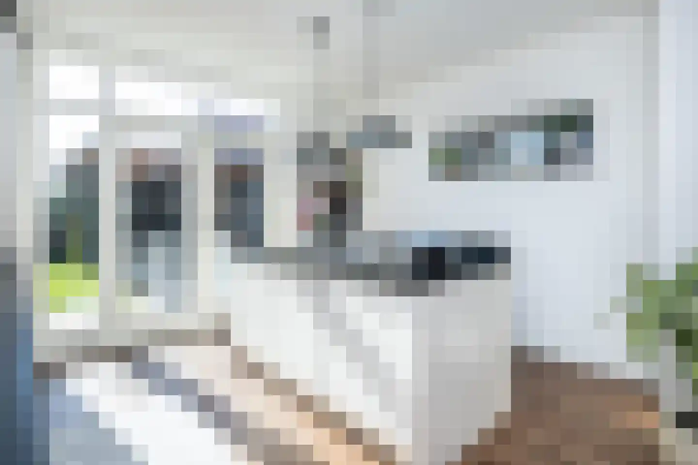 Secretaris Rooijlaan 9 Dirksland thumbnail 13