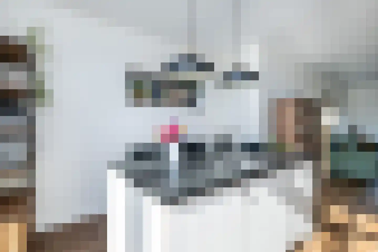 Secretaris Rooijlaan 9 Dirksland thumbnail 14