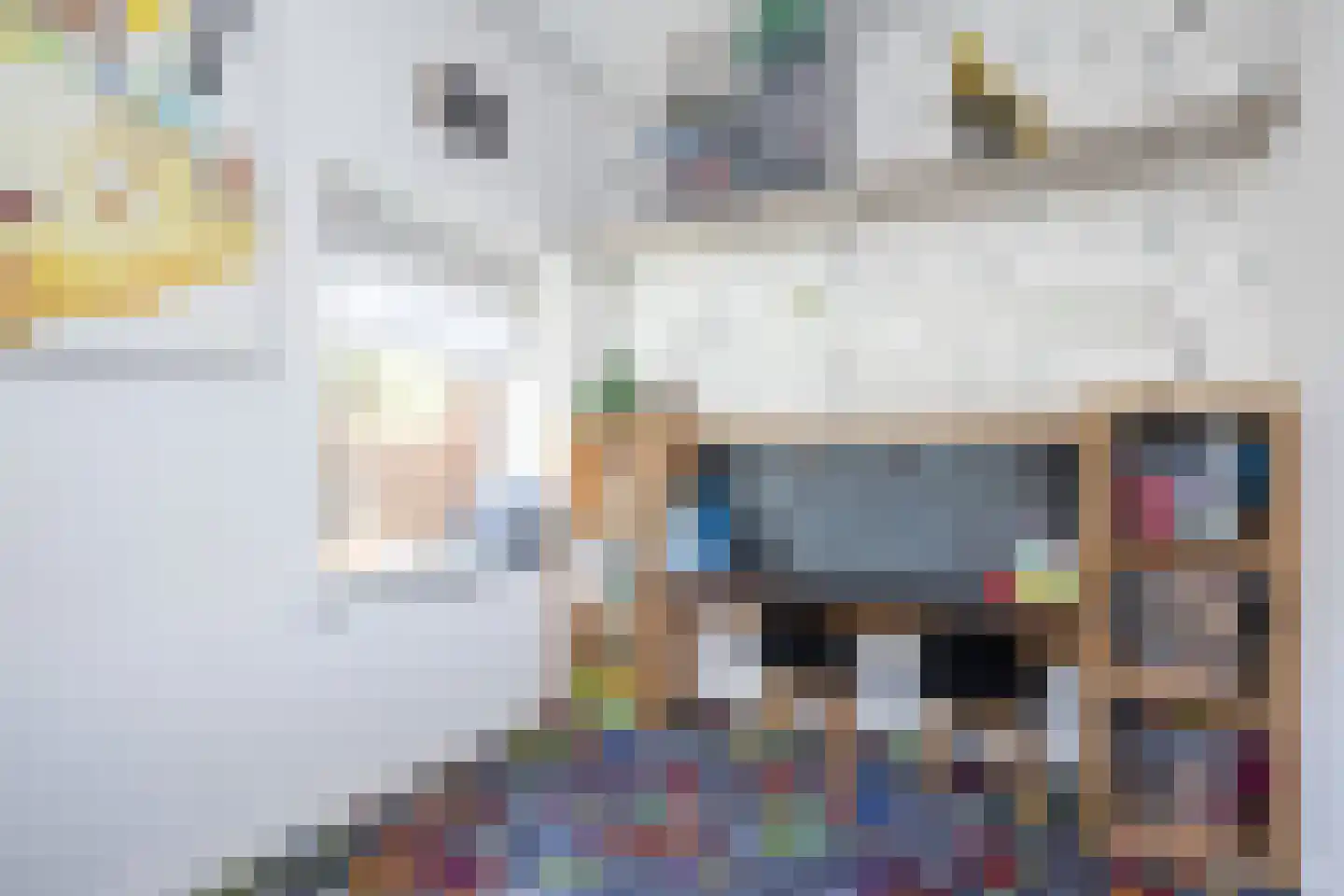 Secretaris Rooijlaan 9 Dirksland thumbnail 16