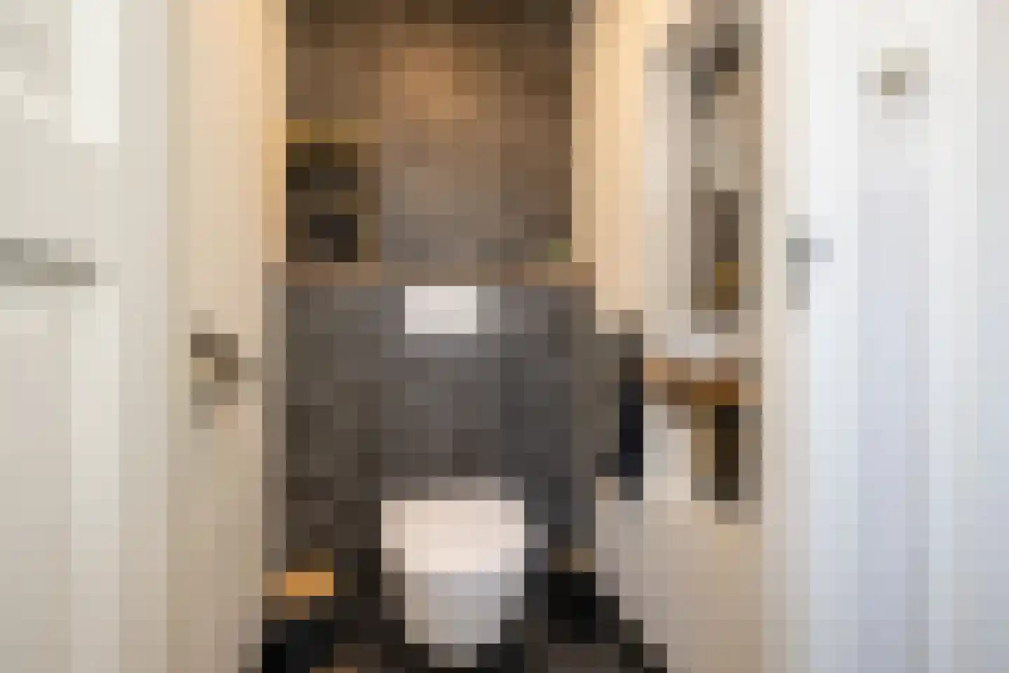 Secretaris Rooijlaan 9 Dirksland thumbnail 18