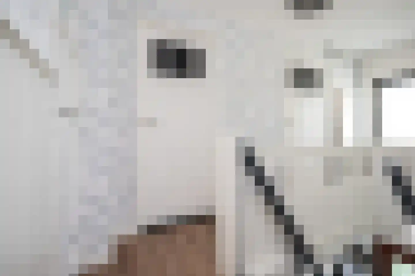 Secretaris Rooijlaan 9 Dirksland thumbnail 19